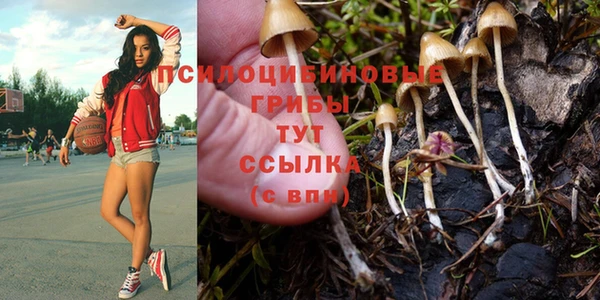 шишки Армянск
