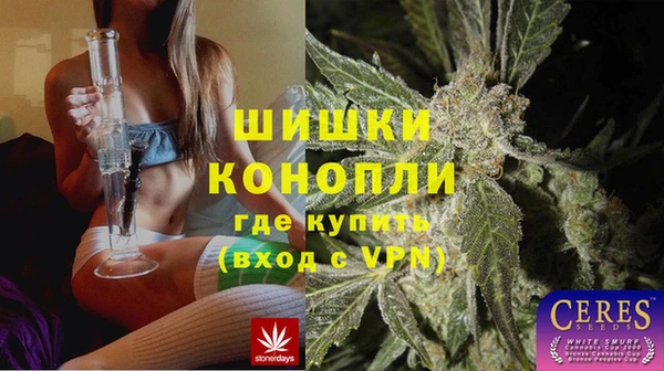 шишки Армянск