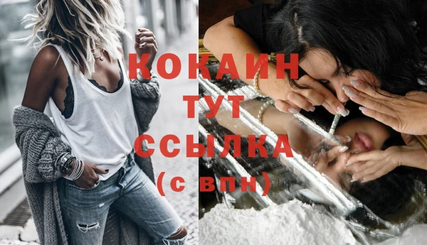 прущие грибы Арсеньев
