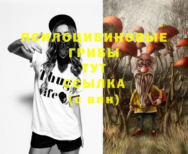 прущие грибы Арсеньев