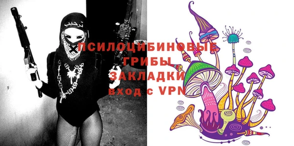прущие грибы Арсеньев