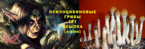 прущие грибы Арсеньев